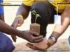 Initiative : le Think Do Tank the Okwelians mobilise la jeunesse de l’Adamaoua pour promouvoir la sécurité durable du Cameroun