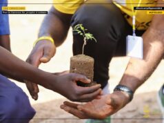 Initiative : le Think Do Tank the Okwelians mobilise la jeunesse de l’Adamaoua pour promouvoir la sécurité durable du Cameroun
