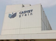 Agro-industrie : un an après son lancement à Kribi, la Pasta S.A devient Cadyst Grain pendant que l’usine a atteint 90 % de sa capacité nominale de production