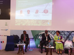 Agriculture : Africa Agri Forum se prépare activement pour novembre prochain
