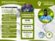 RSE : la Fondation André Onana et l’ONG Espagnole Chirurgiens en Action organisent la 2ème édition de la campagne de chirurgie à Yaoundé