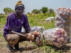 Le Cameroun et la BAD signent des accords de prêt de 89 milliards FCFA pour bâtir les compétences et stimuler l’entrepreneuriat dans la région de l’Extrême-Nord