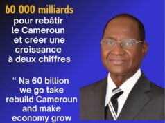 Présidentielle 2025 : analyse de l’offre économique du candidat Bello Bouba Maïgari