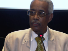 Busera Awel:«Le gouvernement n’intervient pas dans le management d’Ethiopian Airlines»