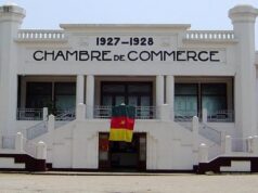 Agro-industrie : le Brésil veut apporter son expertise dans plusieurs pans de l’agriculture au Cameroun
