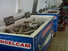 différend de 650 conteneurs : le Mincommerce reçoit à Yaoundé le patron de Congelcam ainsi que le top management de la Régie du terminal à conteneurs