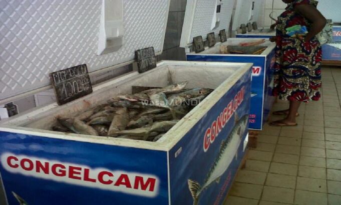 Congelam