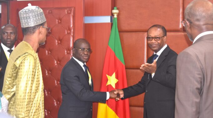 'ivoire