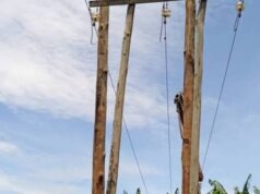 Energie : ENEO installe des poteaux métalliques et en béton armé sur une distance de 150 Km entre Ngaoundéré et Meiganga