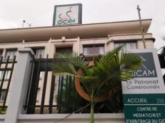 Gicam-Ecam : malgré l’échec de l’approbation de la fusion avec E-cam, Célestin Tawamba convoque une assemblée générale constitutive pour présenter la nouvelle identité visuelle du patronat