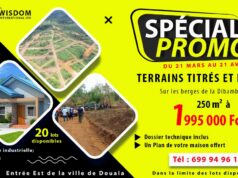 Opportunité : des lots de terrain à prendre