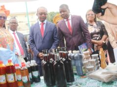 Francophonie économique : PME et ZLECAF plaident à Douala pour une révolution industrielle africaine