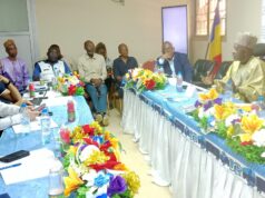 Logistique : la Banque mondiale évalue le corridor Douala-N’Djamena avec le BGFT