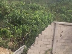 Problème foncier : Daniel Heubou relate comment son lopin de terre est passe de lui être arraché alors qu’il détient un titre foncier