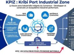 Analyse économique : que faut-il vraiment attendre de la Kribi Port Industrial Zone, cet espace que vante tant le port autonome de Kribi