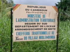 Suivi environnemental : à Kribi, la Socapalm restitue à Nkolembonda les résultats des analyses des rivières de sa concession