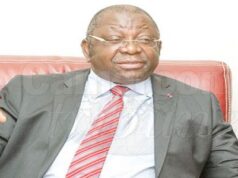 « Le Cameroun est en friche comparé au monde développé »