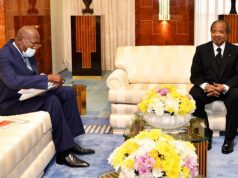Fer de Mbalam Nabéba : le Cameroun traîné en justice après la visite de travail du ministre d’Etat congolais en charge des Mines