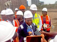 Electricité : le ministre Gaston Eloundou Essomba satisfait de la qualité des prestations de Globeleq