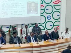 «Plus on investit dans les barrages plus il y a les délestages », les mots de Célestin Tawamba à Gaston Eloundou Essomba