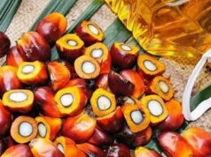 Souveraineté alimentaire : quelques arguments, pour saluer l’arrivée de Opalm dans la production de 108000 tonnes d’huile de palme dans cinq bassins de production