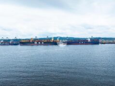 Après le navire porte-conteneurs MSC Turkiye, le port autonome de Kribi aligne au même moment sur son quai quatre géants des mers