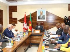 Infrastructures : le groupe suisse MSC examine son entrée dans le projet de construction portuaire de Limbé