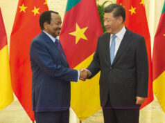 Partenariat : la place de la Chine dans l’économie camerounaise