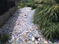Ecologie