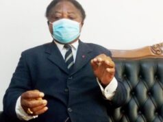 Pr Touna MAMA : « je vais vous dire que ce n’est pas le Gicam qui dirige le Cameroun »