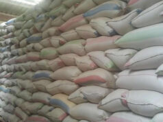 Avantages fiscaux : Le Cameroun perd en moyenne 600 milliards de FCFA par an