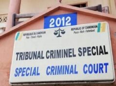 Détournements des fonds publics : au 1er décembre 2024, le Tribunal criminel spécial a récolté plus de 13 milliards de FCFA