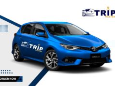 Trip Master, le transporteur urbain qui veut détrôner tous ses prédécesseurs