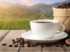 Agri-business : selon la Banque mondiale, les prix du cacao et du café sont à la hausse, sur fond de nouvelles inquiétudes concernant l’offre