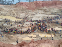 Enquête : comment l’orpaillage et la déforestation accélèrent la crise climatique à l’Est Cameroun
