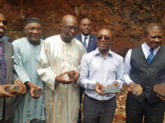 Protection de l’environnement : union de forces d’AmCham Cameroon et Standard Chartered Bank