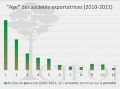 Ressources naturelles : sur 300 entreprises forestières au Cameroun, 32 % meurent après une saison d’activités