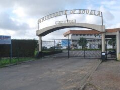Numérique : pas de géant de trois universités camerounaises au REAMOOC, un programme de formation en ligne