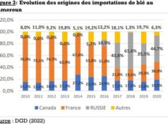 Echanges commerciaux : les possibles conséquences de la crise ukrainienne à l’économie camerounaise