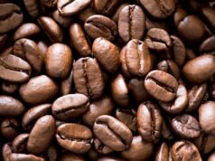 Commerce : le prix de vente du café arabica connaît une hausse de 10 %