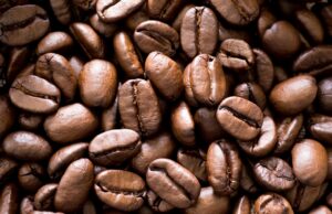Commerce : le prix de vente du café arabica connaît une hausse de 10 %