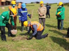 Environnement : Camrail plante 150 arbres à Douala