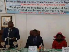 Adamaoua : Martin Paul Mindjos Momeny, un manager sur le terrain agro-pastoral
