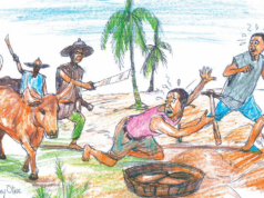 Différends : 71 % des conflits agropastoraux au Nord Cameroun touchent des éleveurs camerounais