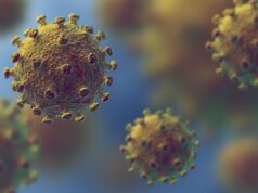 Corona virus : après l’annonce d’un deuxième cas au Cameroun, le patronat exprime ses craintes et attentes