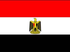 Investir au Cameroun : l’Egypte en passe de se lancer dans l’agriculture, l’agro-industrie, l’hôtellerie