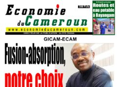 Publication : Économie du Cameroun donne la parole à Emmanuel Wafo