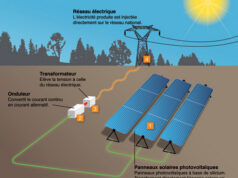 Electricité : ENEO choisit d’installer 30 MW de solaire au Nord Cameroun pour réduire les délestages