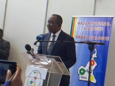 Grand Dialogue national : Double nationalité, création d’un ministère de la diaspora, premières propositions adoptées
