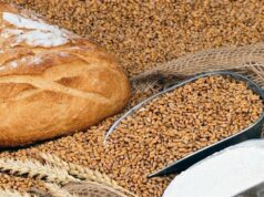 Importations du blé : la sécurité alimentaire en péril, après le refus de la Russie de renouveler l’accord de la mer Noire